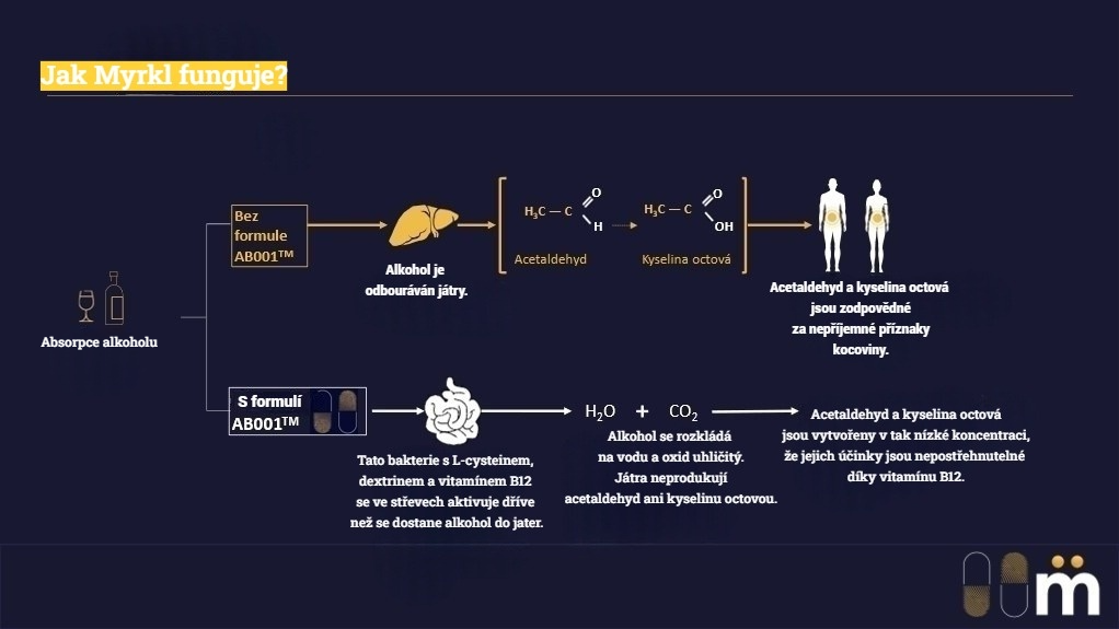 Jak funguje Myrkl cz